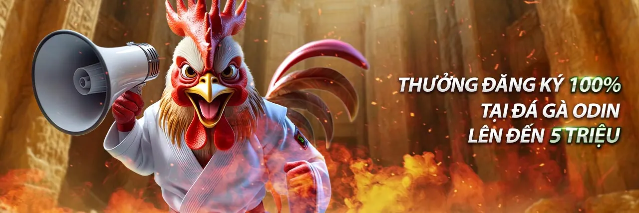 Tiền thưởng và khuyến mãi casino