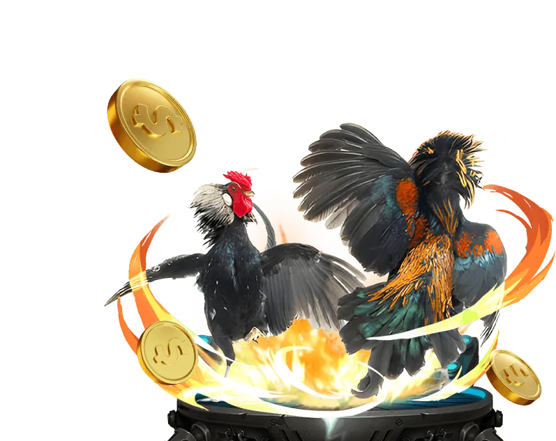 Giao diện tổng quan nền tảng 66ko link mới